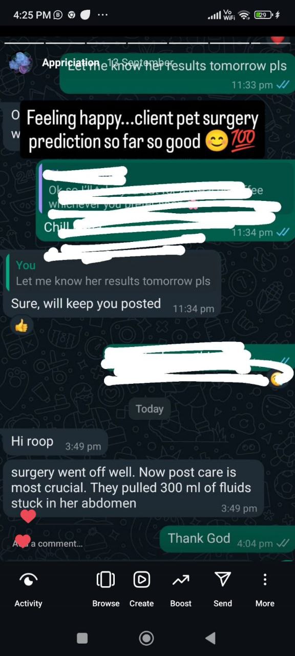 tomorrow pls
1183 pm 4/
0 Feeling happy...client pet surge
prediction so far so good e
w
o
c
You
1 1:34 m W
Let me know her results tomorrow pls
Sure, will keep you posted
11:34 pm
Today
Hi roop
3:49 pm
surgery went off well. Now post care is
most crucial. They pulled 300 ml of fluids
stuck in her abdomen
•a comment
3:49 pm
Thank God
4:04 pm V/
testimonial image